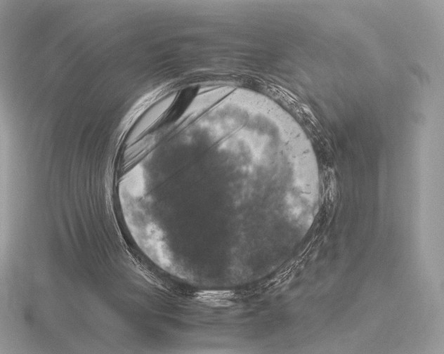 X0000115310051200912141145