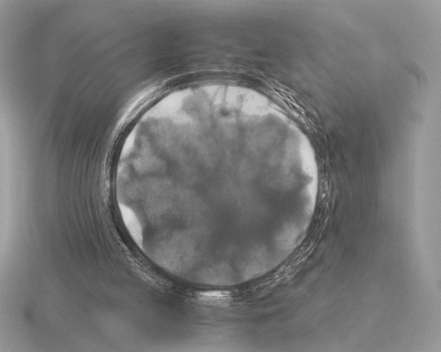 X0000115310053200912141145