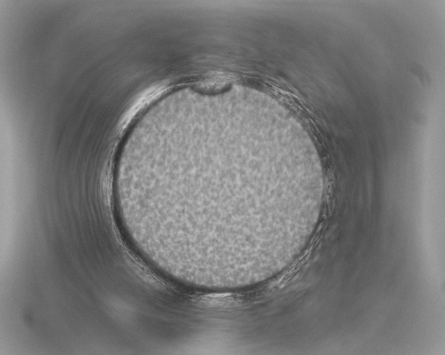 X0000115310054200912141145