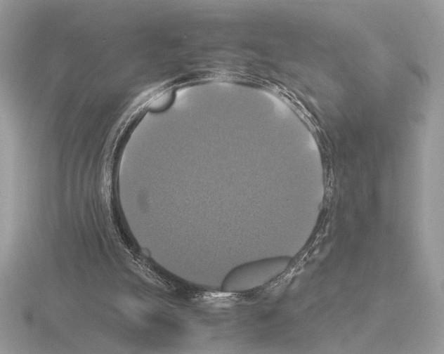 X0000115310055200912141145