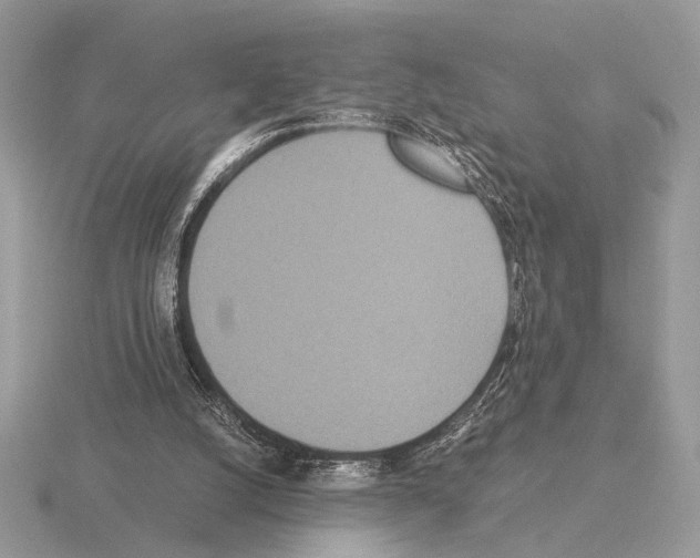 X0000115310056200912141145