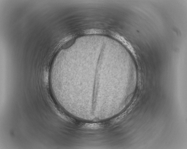 X0000115310057200912141145