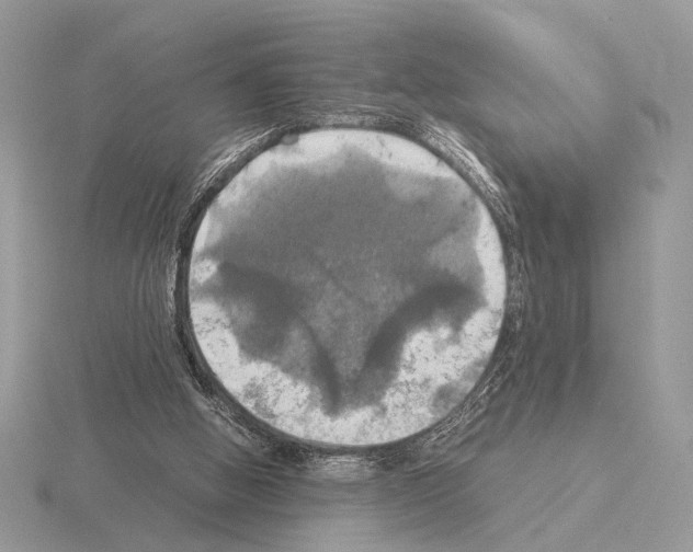 X0000115310058200912141145