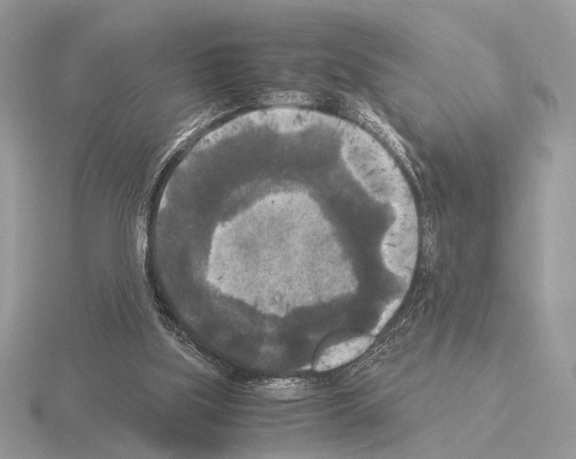 X0000115310059200912141146