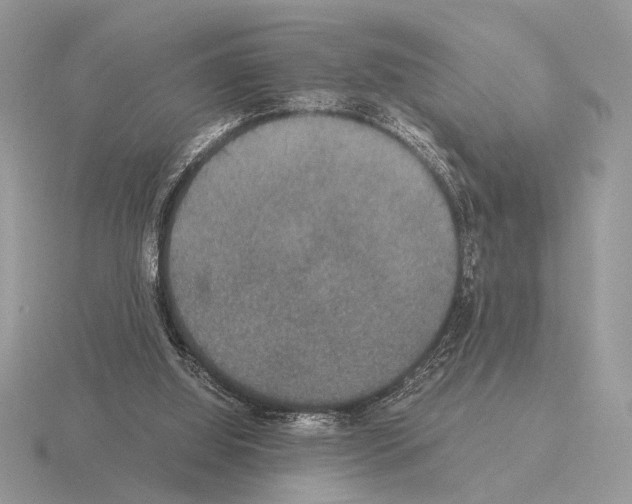 X0000115310060200912141146