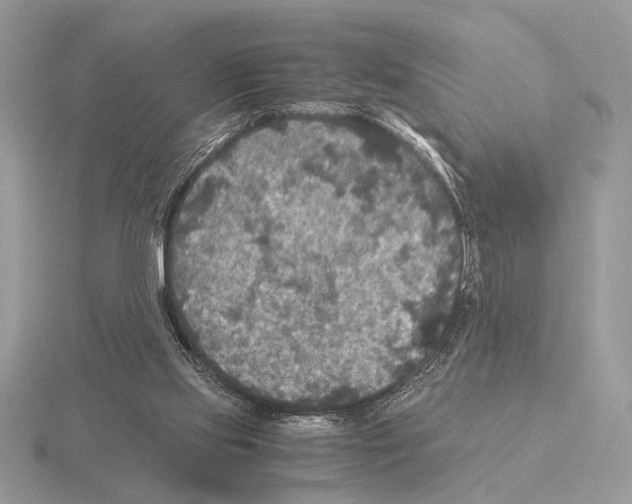 X0000115310061200912141146