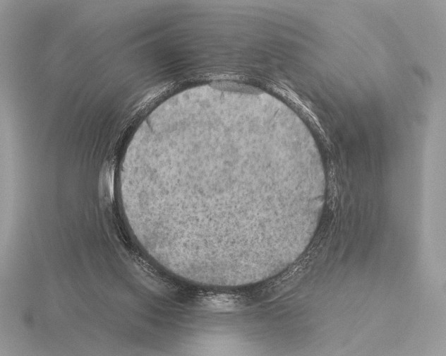 X0000115310062200912141146