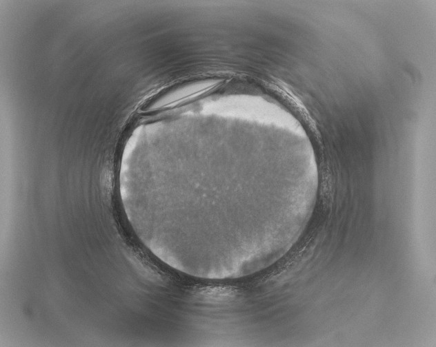 X0000115310063200912141146