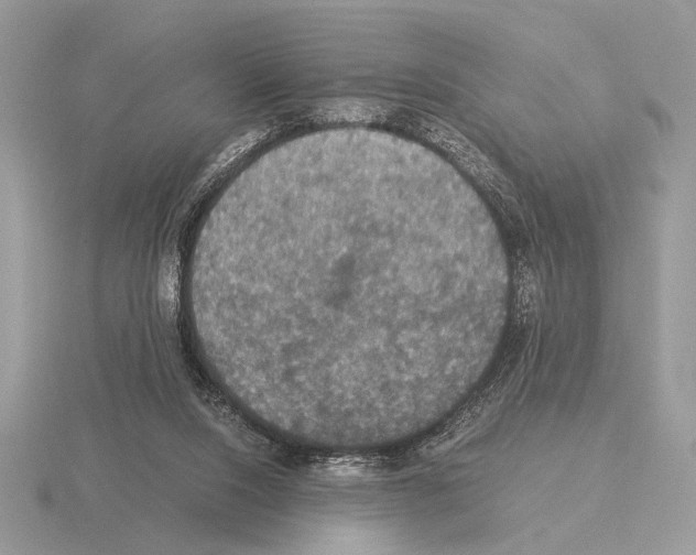 X0000115310064200912141146