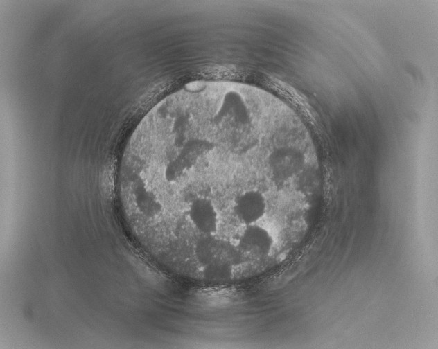 X0000115310065200912141146