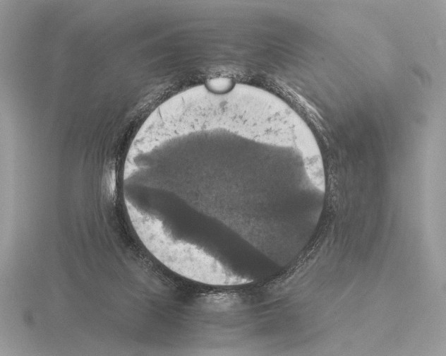 X0000115310067200912141146