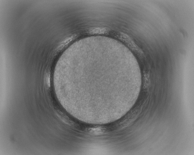 X0000115310068200912141146