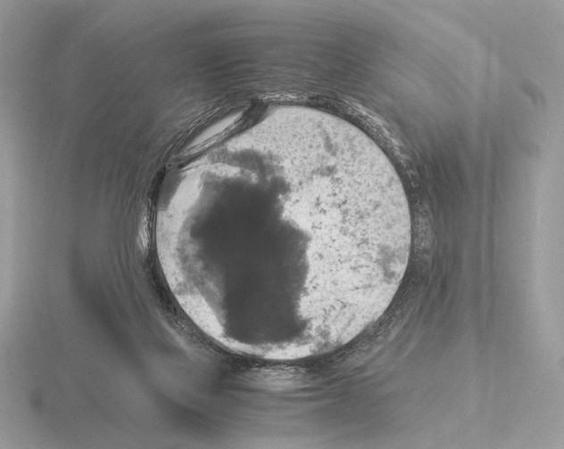 X0000115310069200912141146