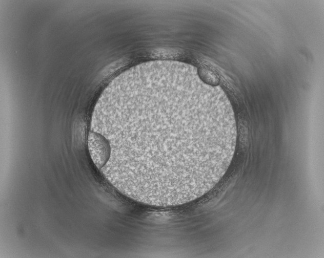 X0000115310071200912141146