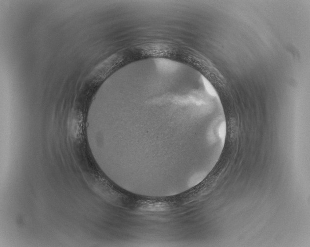 X0000115310073200912141146