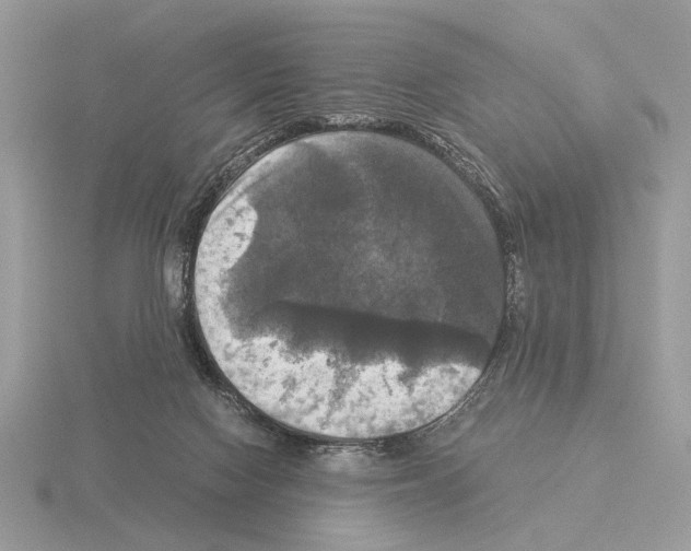 X0000115310074200912141146