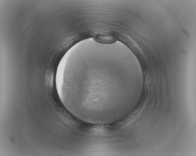 X0000115310076200912141146