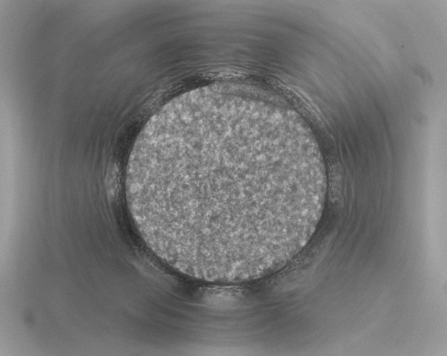 X0000115310077200912141146