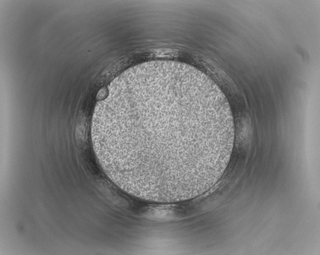 X0000115310078200912141146