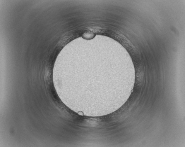 X0000115310079200912141146