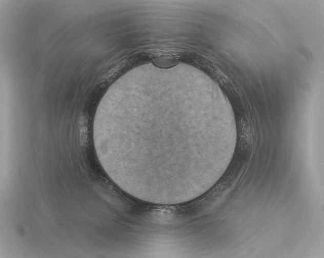 X0000115310080200912141146