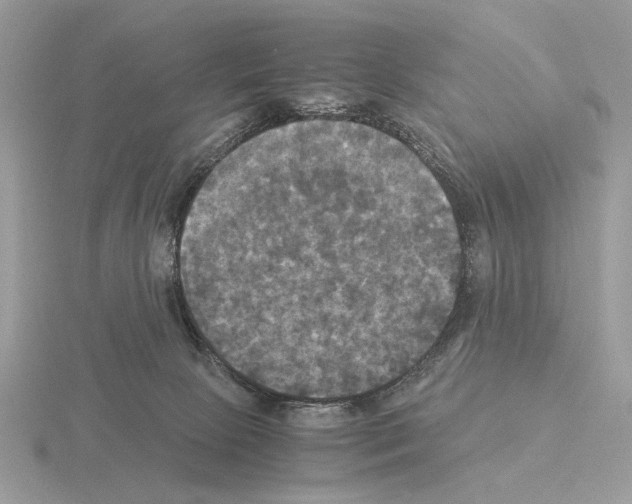 X0000115310081200912141146