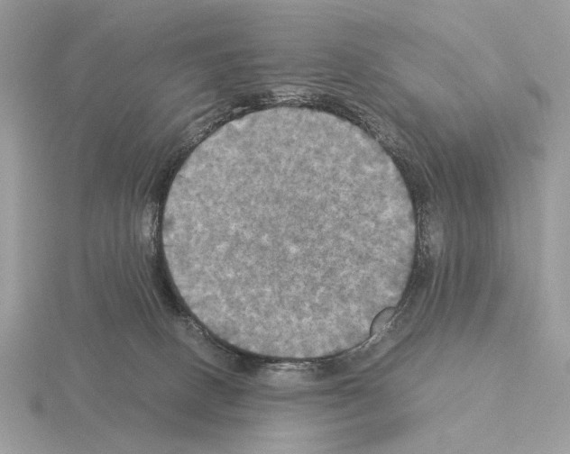 X0000115310082200912141146