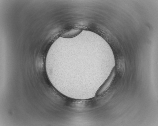 X0000115310084200912141146