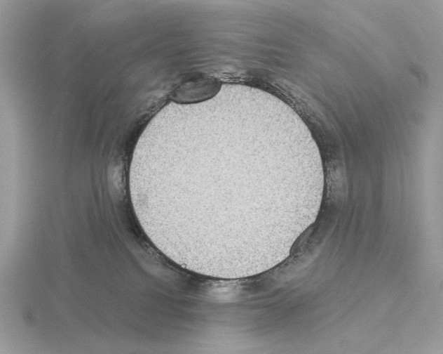 X0000115310088200912141146