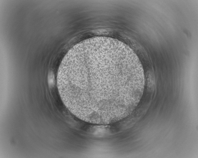 X0000115310089200912141146