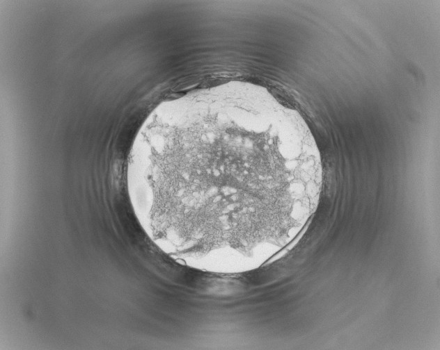 X0000115310093200912141146