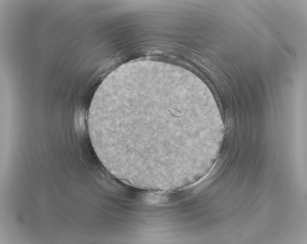 X0000115310094200912141146