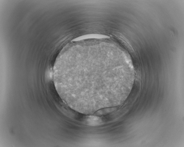 X0000115310095200912141146