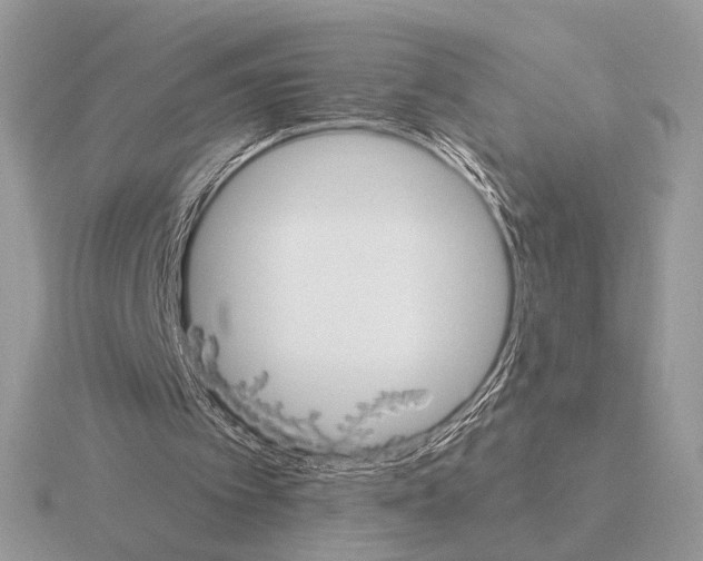 X0000115310097200912141145