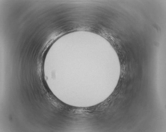 X0000115310098200912141145