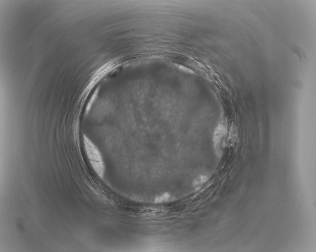 X0000115310099200912141145