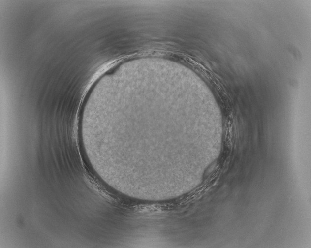 X0000115310100200912141145