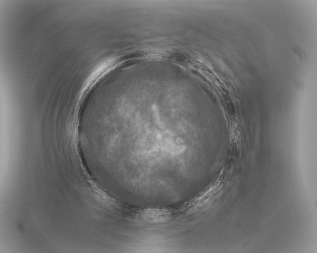 X0000115310101200912141145