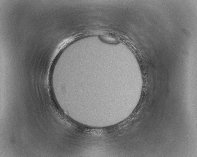 X0000115310104200912141145