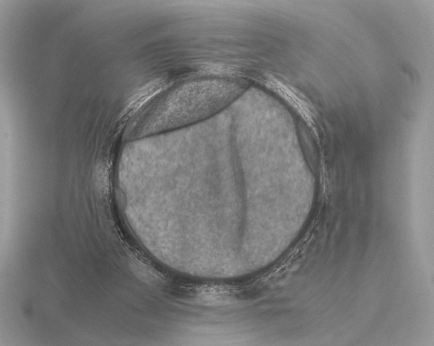 X0000115310105200912141145