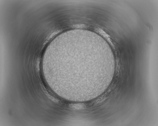 X0000115310106200912141145