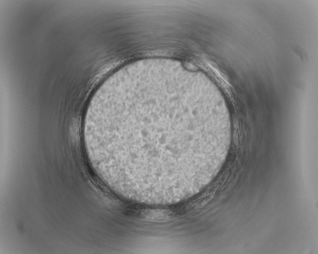 X0000115310107200912141145