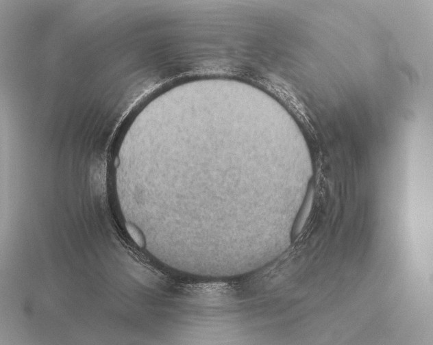 X0000115310108200912141145