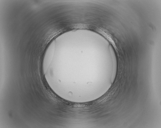 X0000115310109200912141145