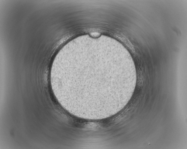 X0000115310111200912141145