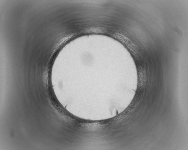 X0000115310112200912141145