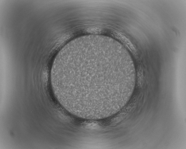 X0000115310113200912141145