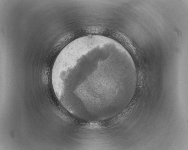 X0000115310114200912141145