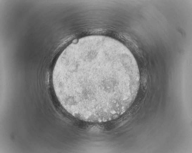 X0000115310115200912141145