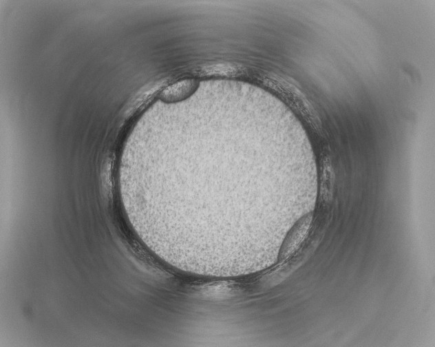 X0000115310116200912141145